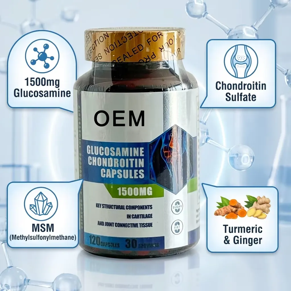 Glucosamine Chondroitin MSM Daily Wellness