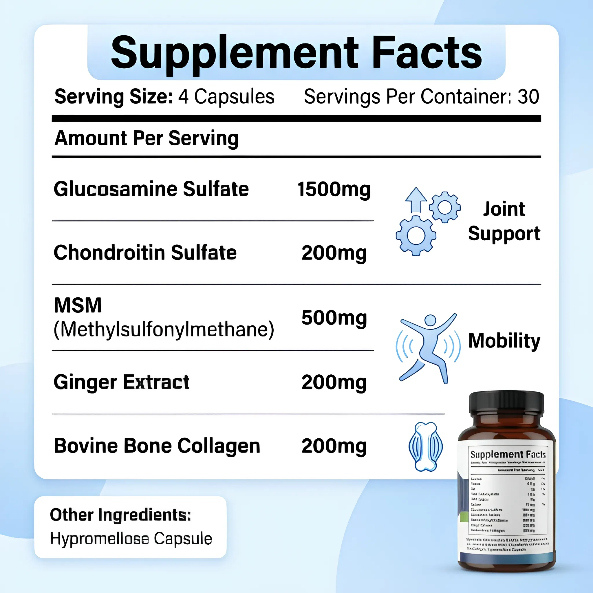 Glucosamine Chondroitin MSM Daily Wellness