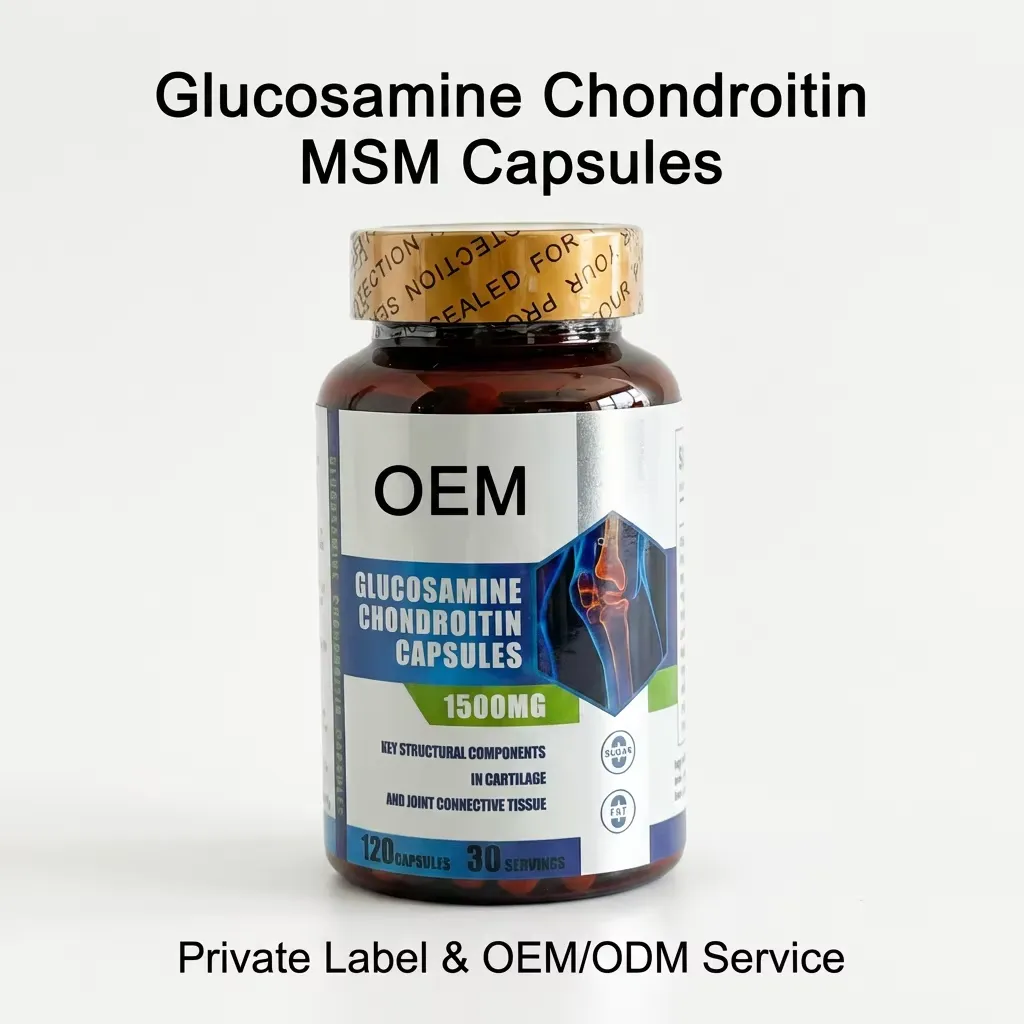 Glucosamine Chondroitin MSM Daily Wellness