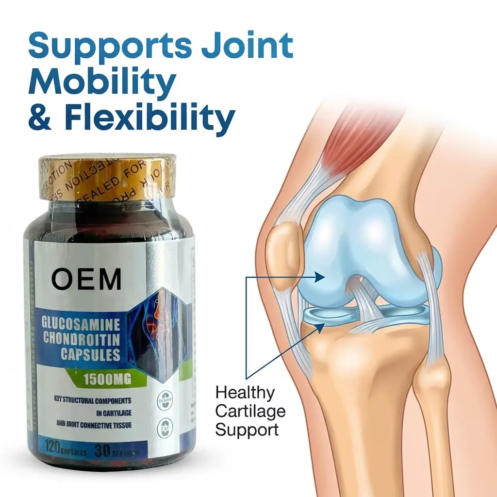 Glucosamine Chondroitin MSM Daily Wellness