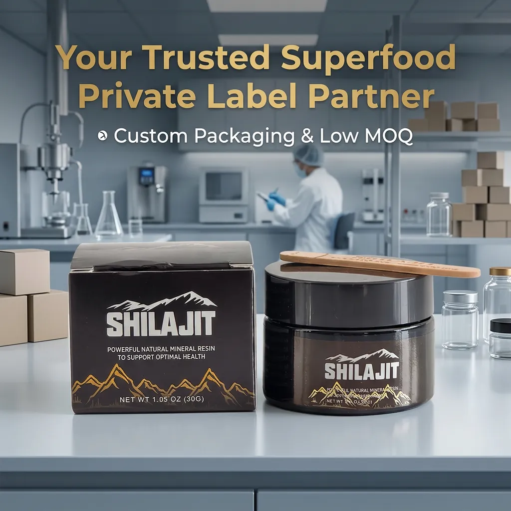 Organic Shilajit Herbal Paste